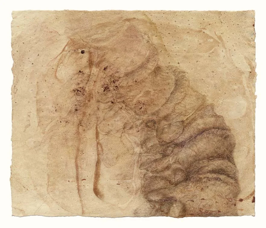 Curving vertebrae with nerve spaces
