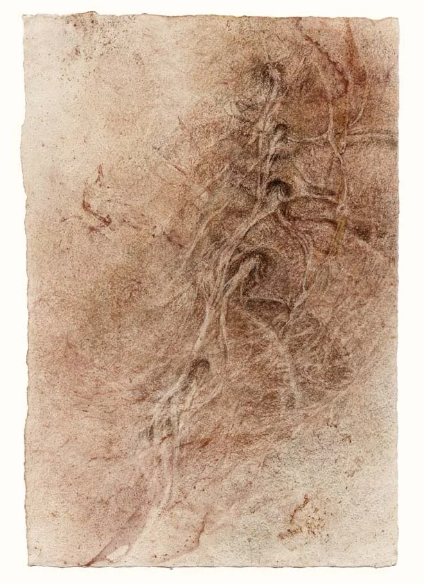 L3-4-5 with emerging nerves