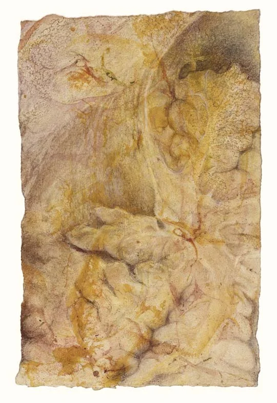 4th ventricle with arbor vitae of cerebellum (yellow)