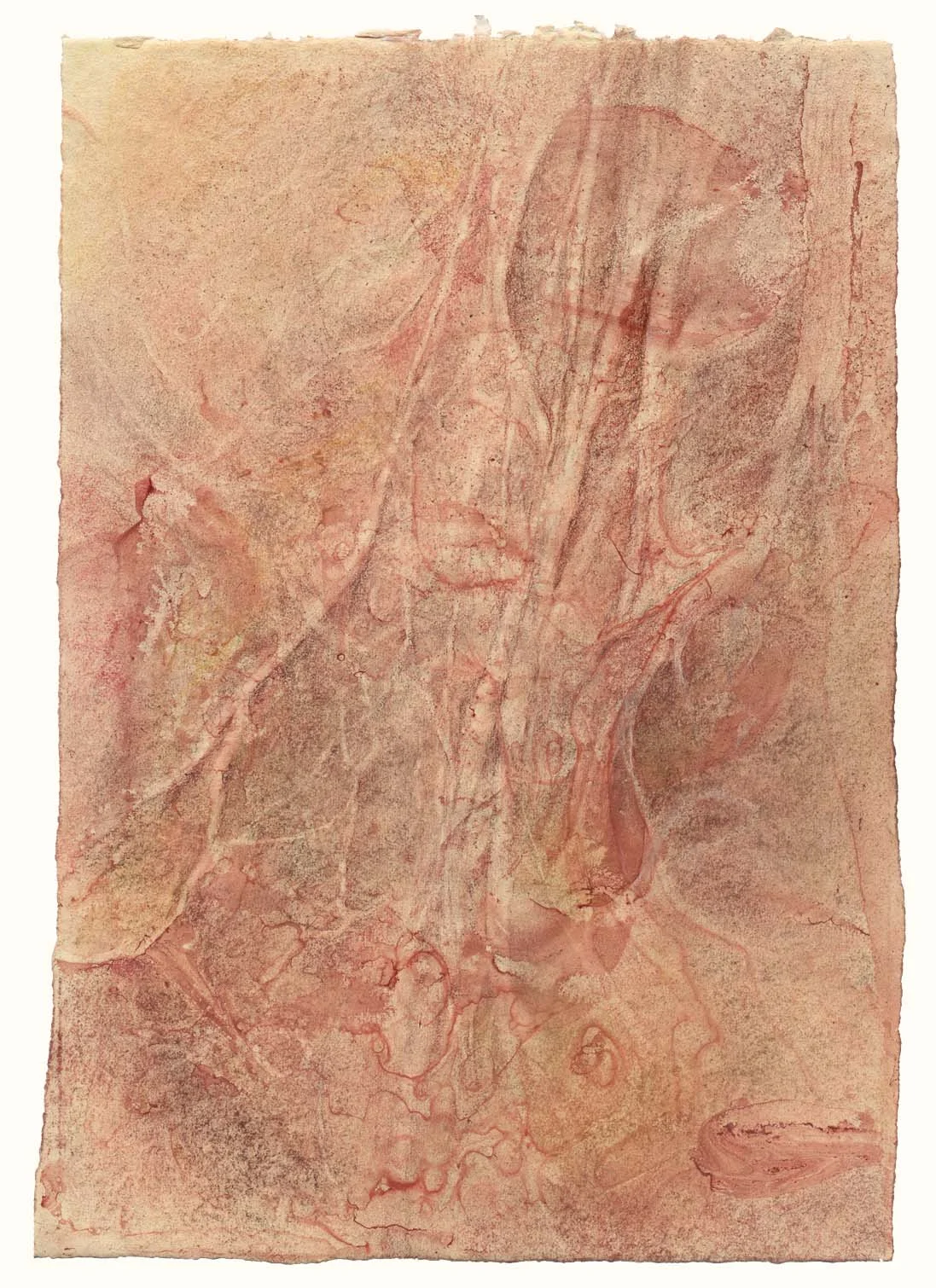 Spinal nerve landscape (#1)