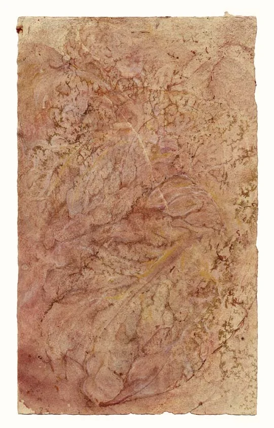 Arbor vitae (mauve crystalline)