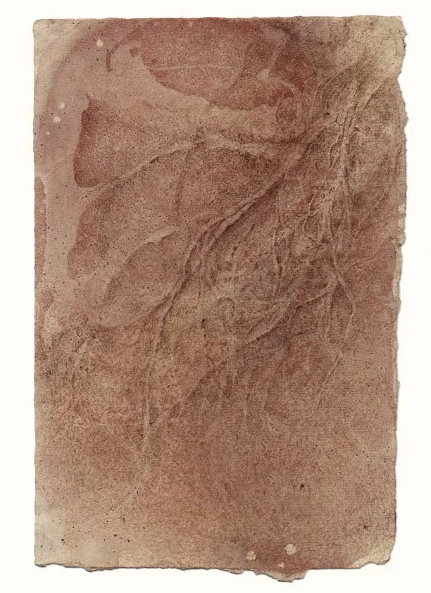 Spinal nerve landscape (#3)
