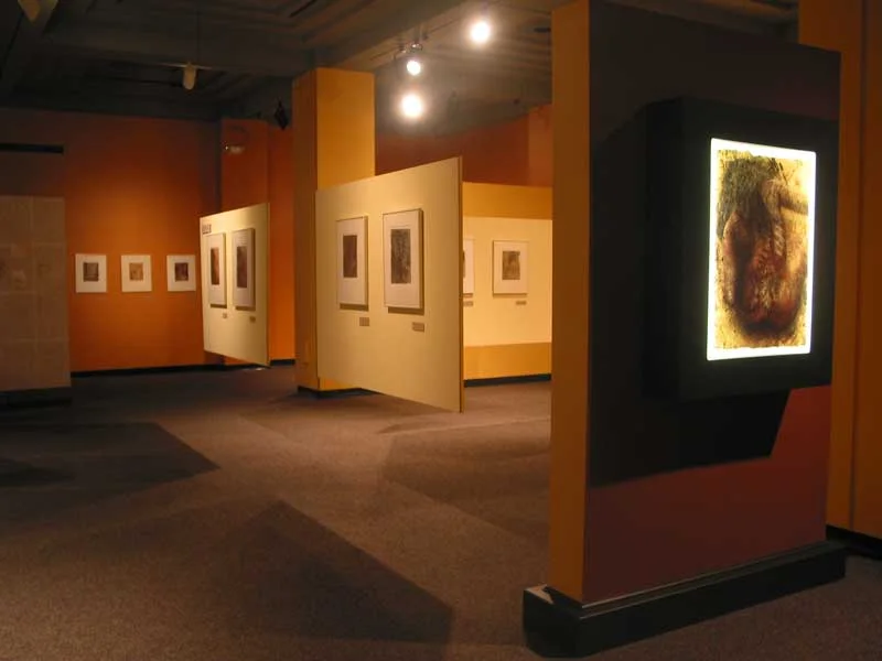 TVSS-NMHM_installation_view.jpg