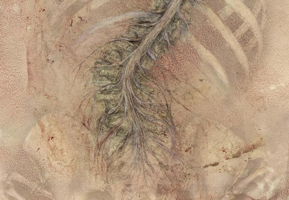 Spinal cord scroll (large detail)