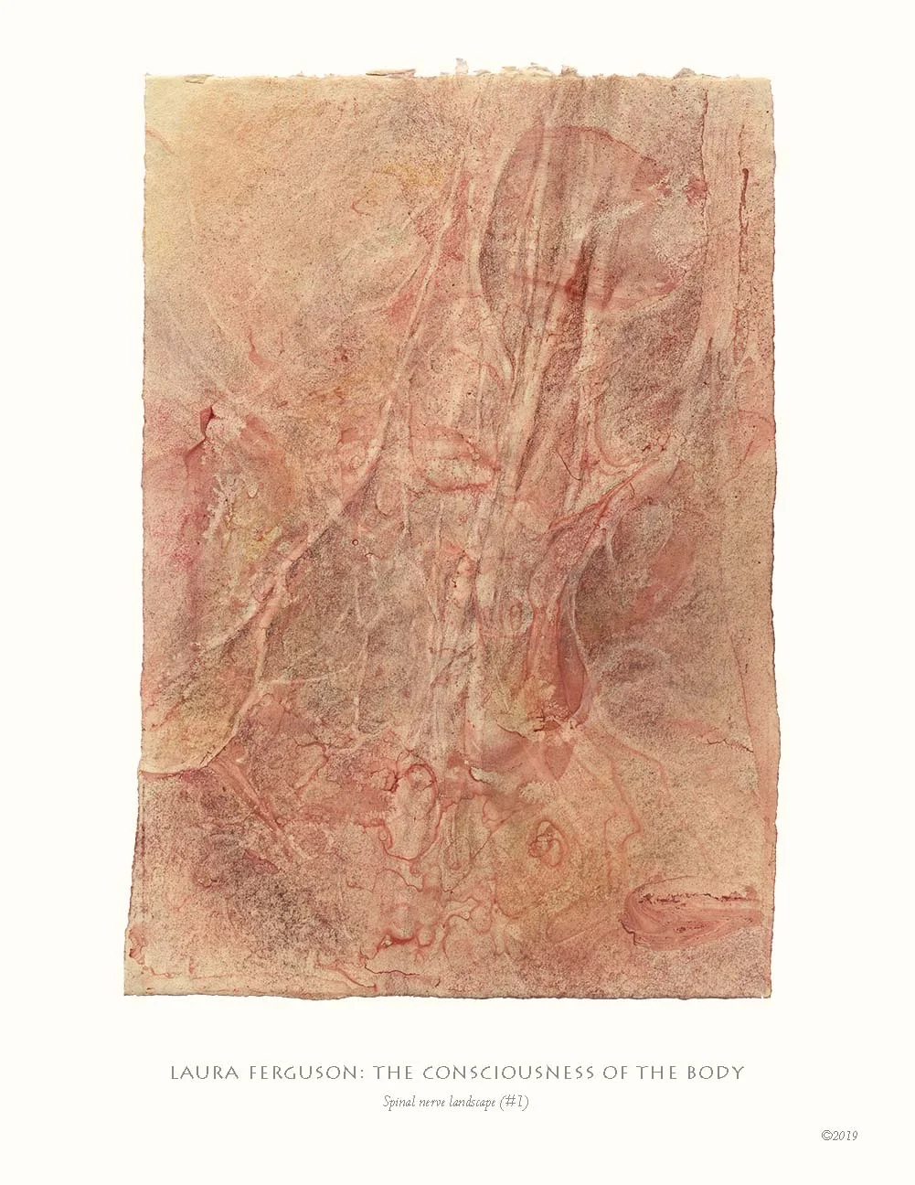 Spinal nerve landscape (#1) (Consciousness gallery)