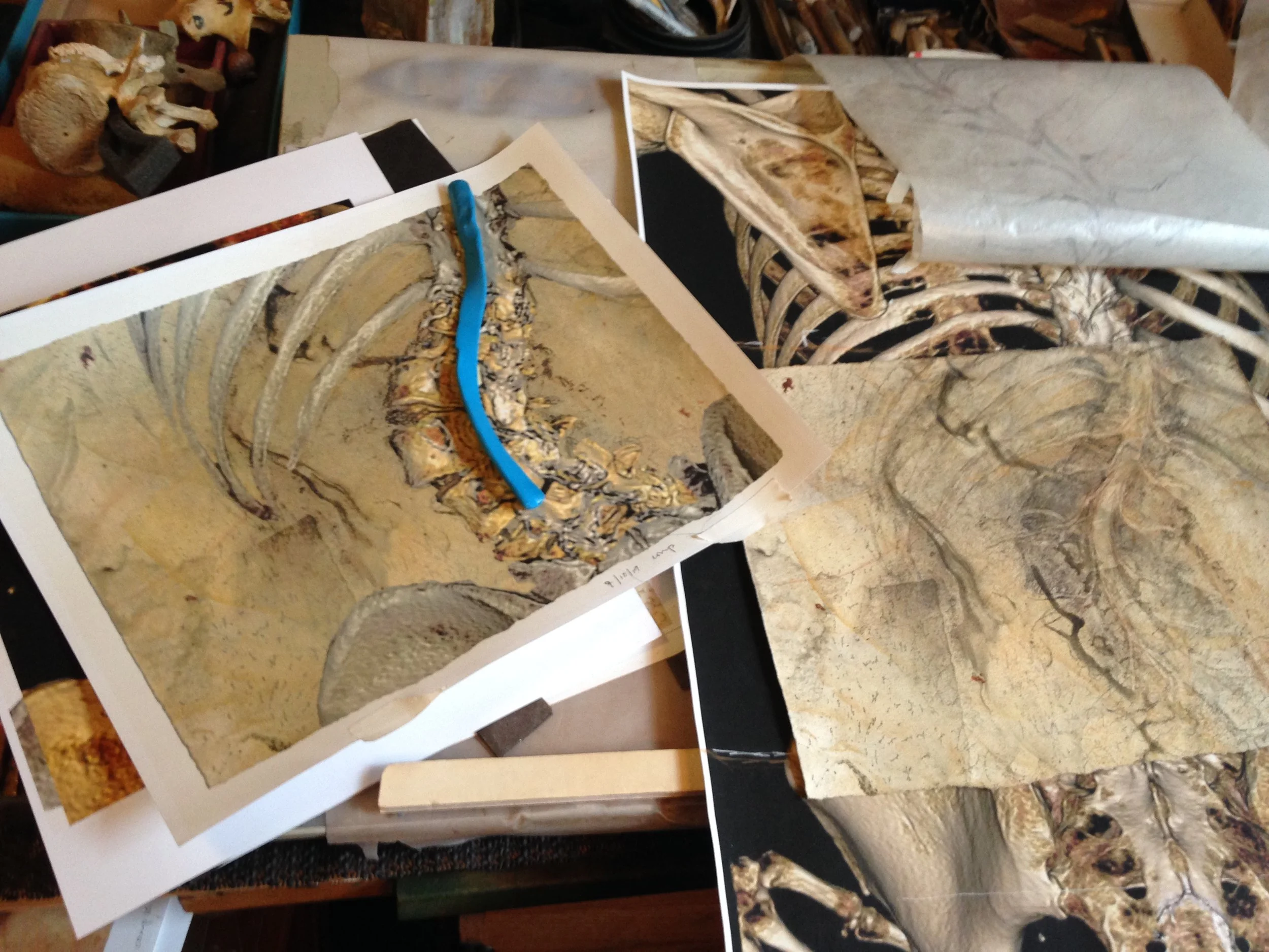  I decided to make one more study, to explore how the rotation of my spine is echoed in my curving spinal cord and the nerves that branch from it.  In the thoracic area (where the ribs attach), they rotate toward the back on the right side, and then 