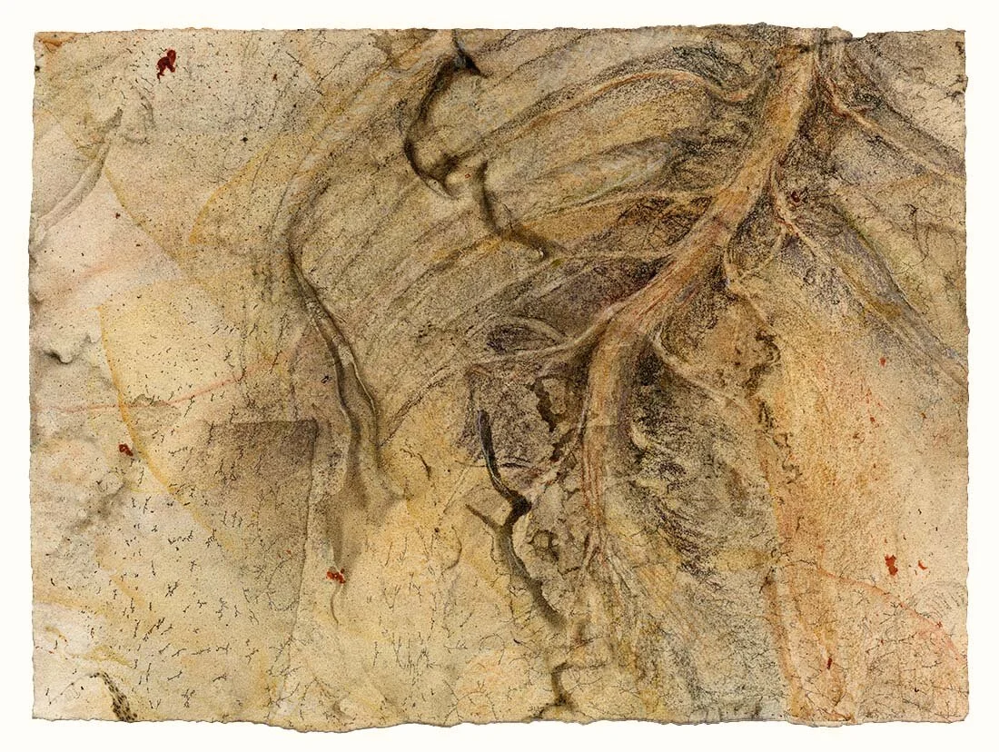 Spinal cord + nerves, rotating