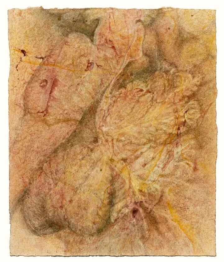 cerebellum+brainstem-yellow-red-abaca-6af.jpg