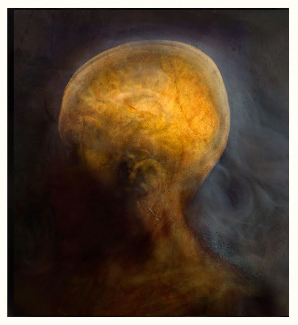 goldblack_brain+body_8g-2.jpg