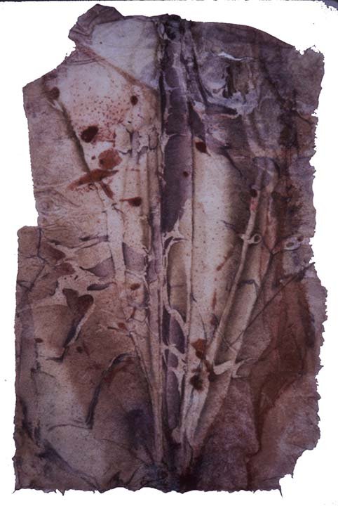 Shaped form