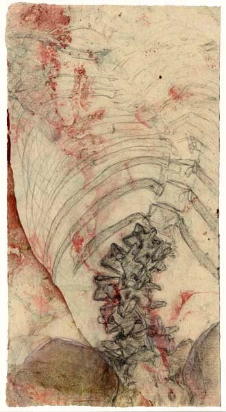 Spine scroll