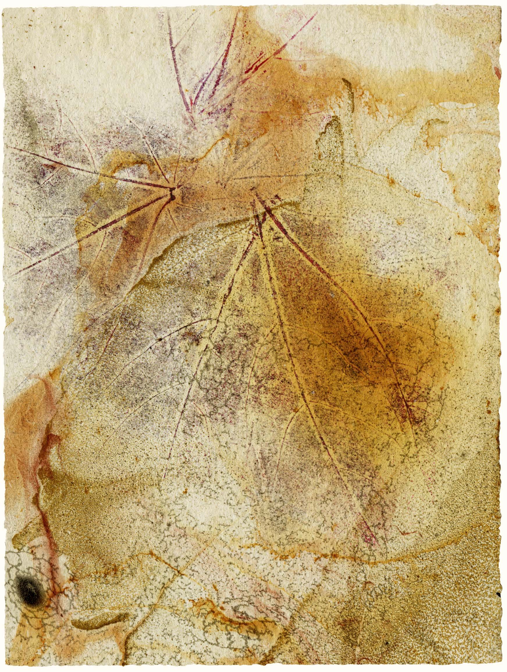 Leafprints and floating colors (Japanese long with veins)
