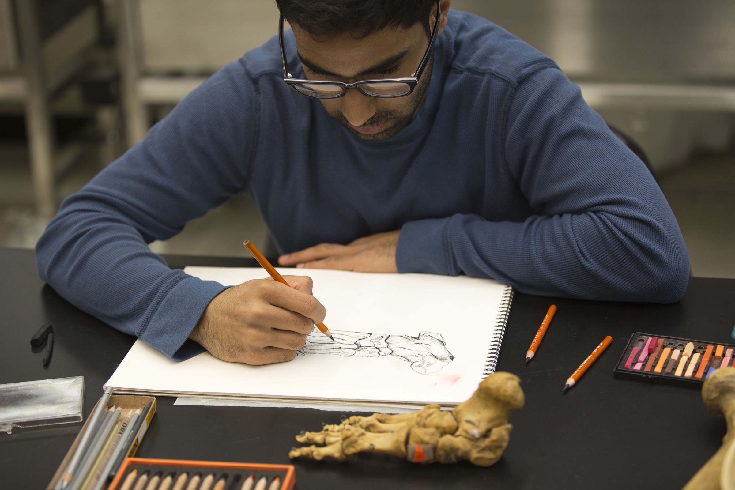 Participants in Art & Anatomy, drawing in the Anatomy Lab at NYU medical school