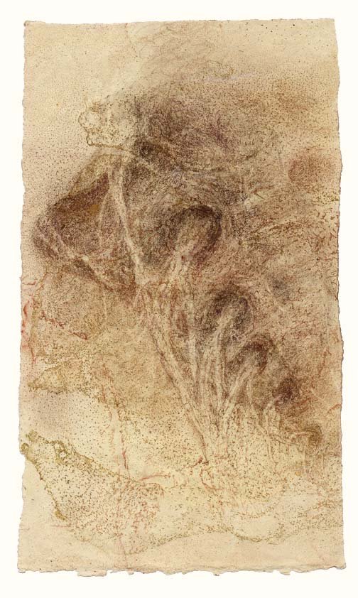 Sacrum with emerging nerves