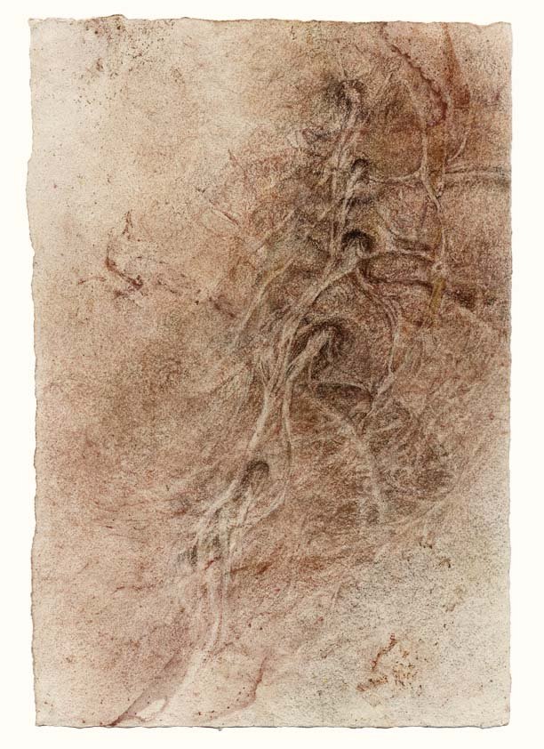 Lumbar vertebrae and sacrum with emerging nerves