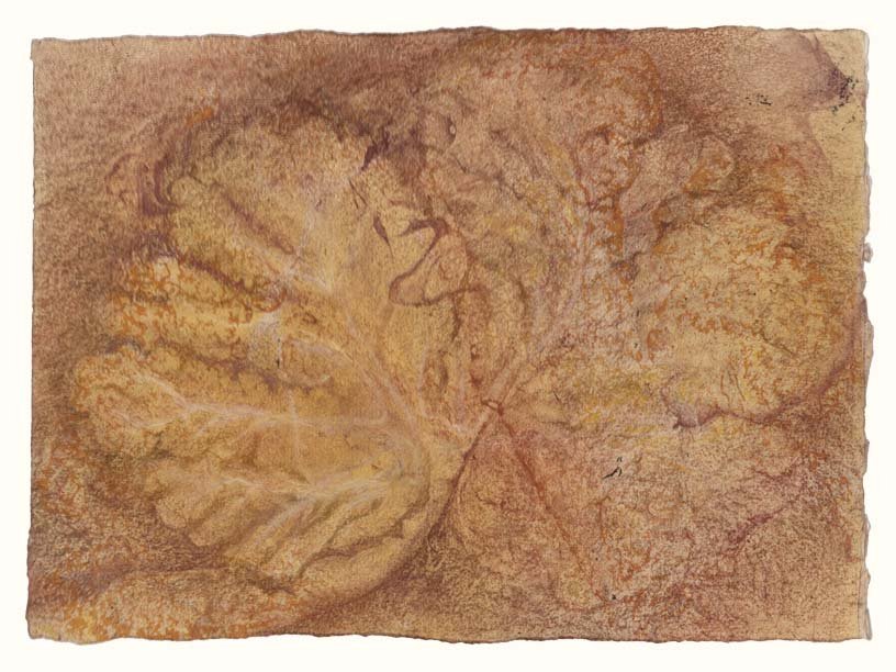 Arbor vitae of cerebellum (yellow)