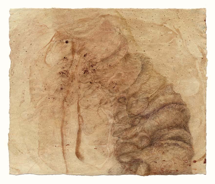 Curving vertebrae with nerve spaces