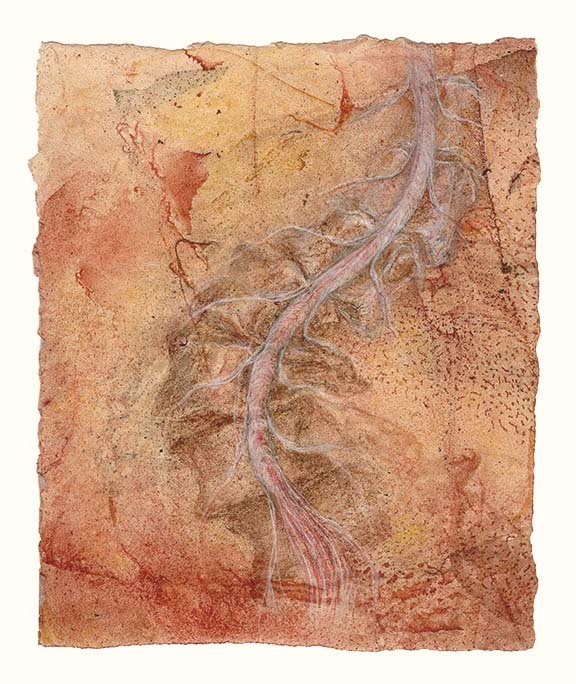 Lumbar canal with spinal cord (red)