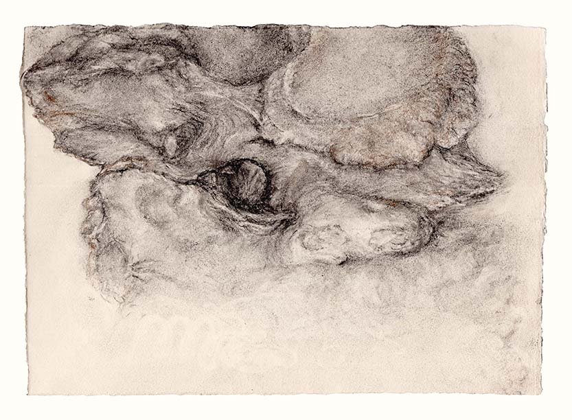 Vs9-2-v7-charcoal-TRY-72.jpg