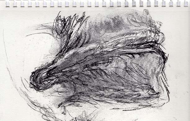 Vs6-2-bw-study-72.jpg