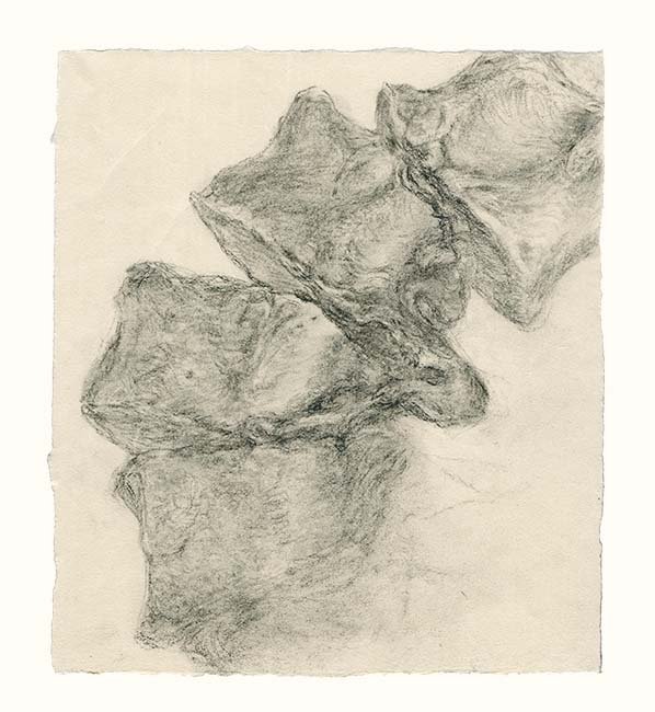 cord-in-canal-charcoal-study3-72.jpg