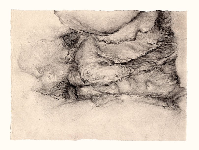 Vs11-L2-3-R:A-charcoal.jpg