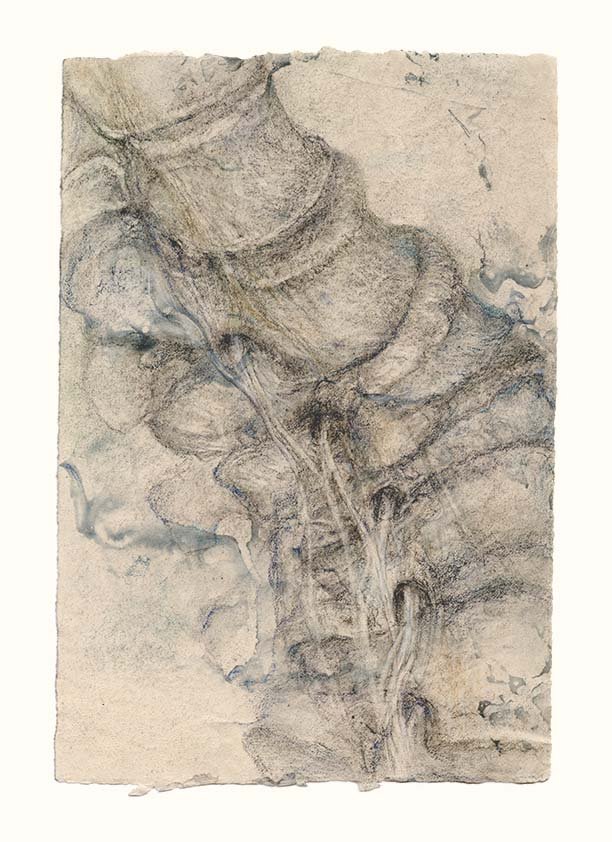 lumbar-nerves-indigo-9ff.jpg