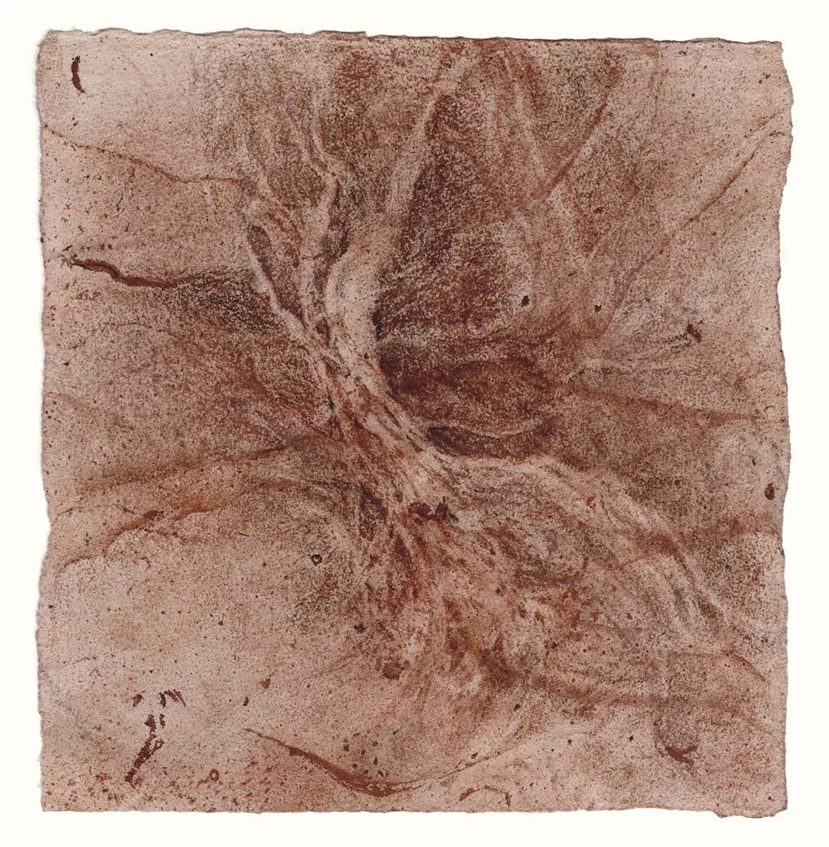 Nerve landscape (small red square)