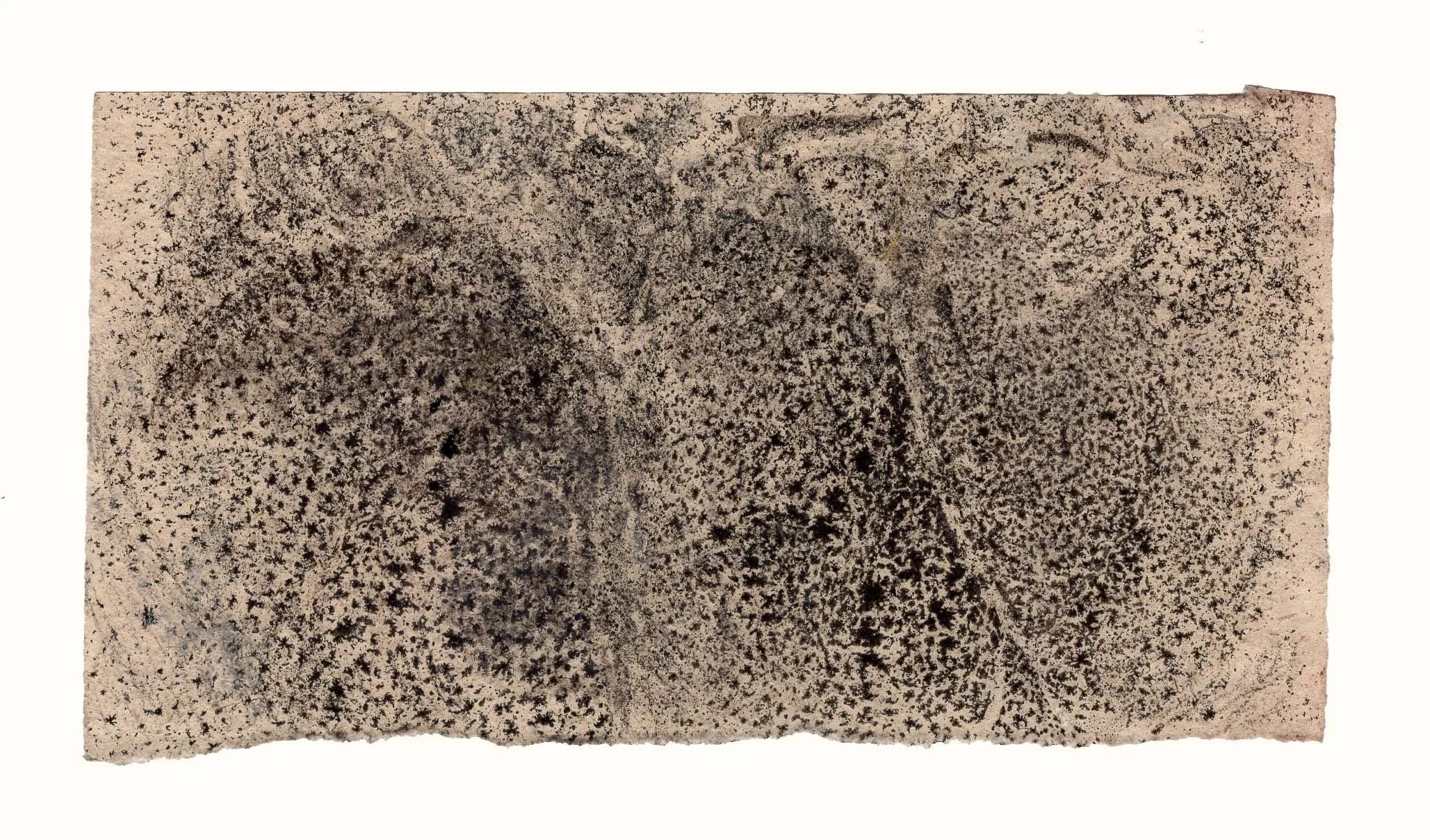 Trabeculae texture (small study)