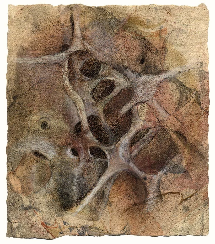 Bone scaffolding trabeculae
