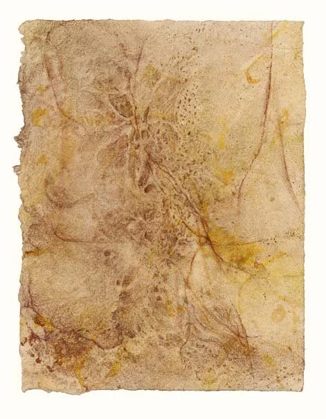 Nerve plexus (light yellow-brown)