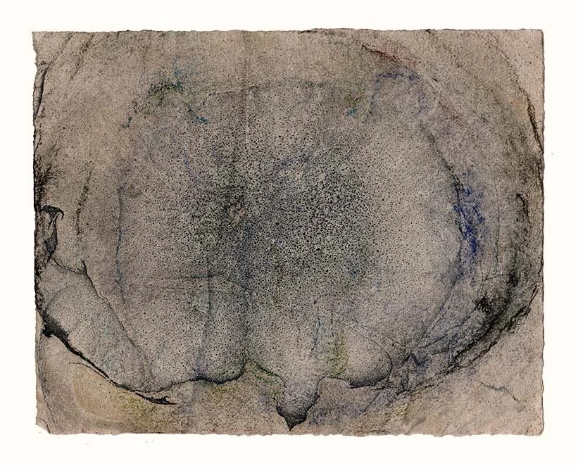 Spinal cord cross-section closeup (blue cell)