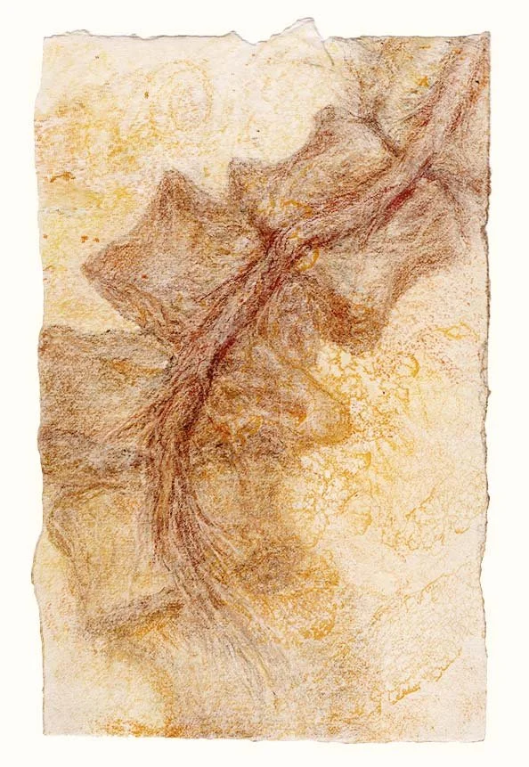 Cord in canal (gold laid)