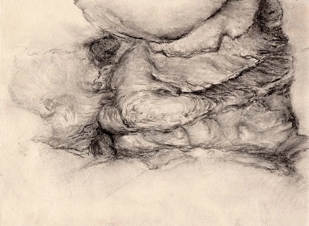 Vs11-L3-charcoal.jpg
