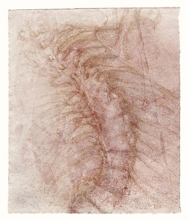  Crouching figure (thoracic spine), 10 x 8.75 in., Ruscombe Queen Anne, 2024 