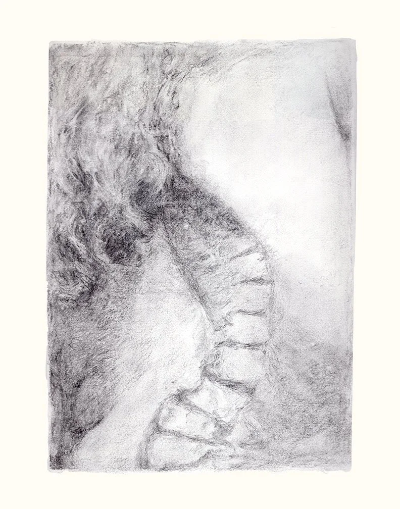  Crouching figure with rotated spine, 12 x 8.5 in., charcoal on Meridian, 2024 