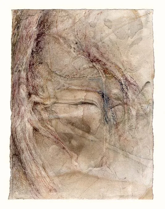  Spinal nerves + sympathetic chain (grey-brown), 8.5 x 6.5 in. on Twinrocker Bone, 2025 
