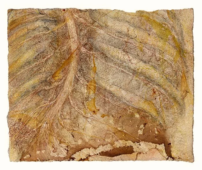 his-hands-study-thoracic-6f-crop.jpg