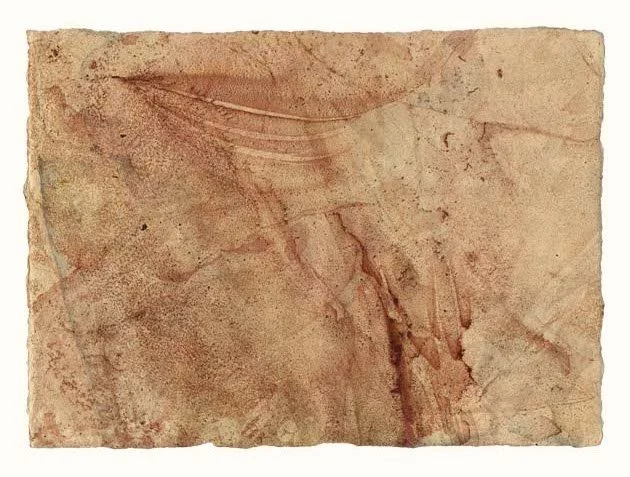  floating colors sheet, oil paints and bronze powders with no overlaid drawing, 2017 