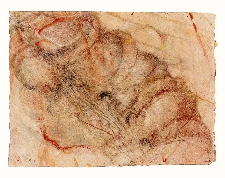  Emerging nerves (yellow+red), 7.25 x 9.75 in., Twinrocker, 2025    In my latest work, I’ve been venturing ever deeper into inner space.  It’s at the locus of pain – the place where my spinal cord and emerging nerves are most constricted – that the s