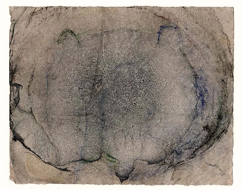  Spinal cord cross-section (blue cell), 8 x 10.25 in. on Moulin de Fleurac, 2025    My nerve landscapes are becoming looser – still tied to anatomical reality, but less defined, with a different balance of real and imagined and a different relationsh