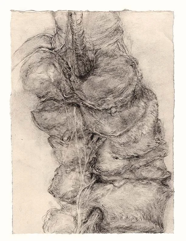 RA-L1-fr-above-charcoal.jpg