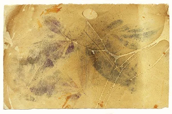 leafprint_on_kozo-ochre_brown-archive.jpg