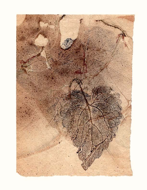 leafprints+flcols-6-v2-72.jpg