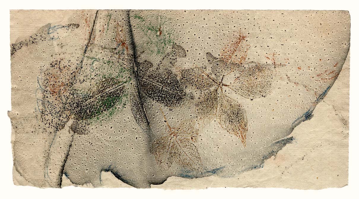leafprints+flcols-8.jpg