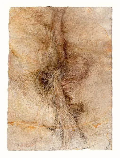 L2foramina-br-ochre-5-72