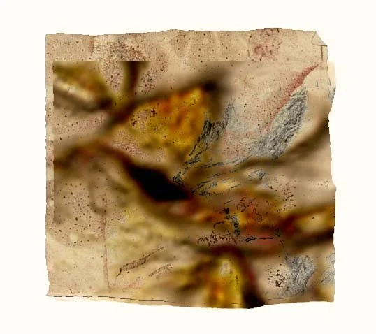 opening-closeup-L2foramina-br+tan-comp-crop-2