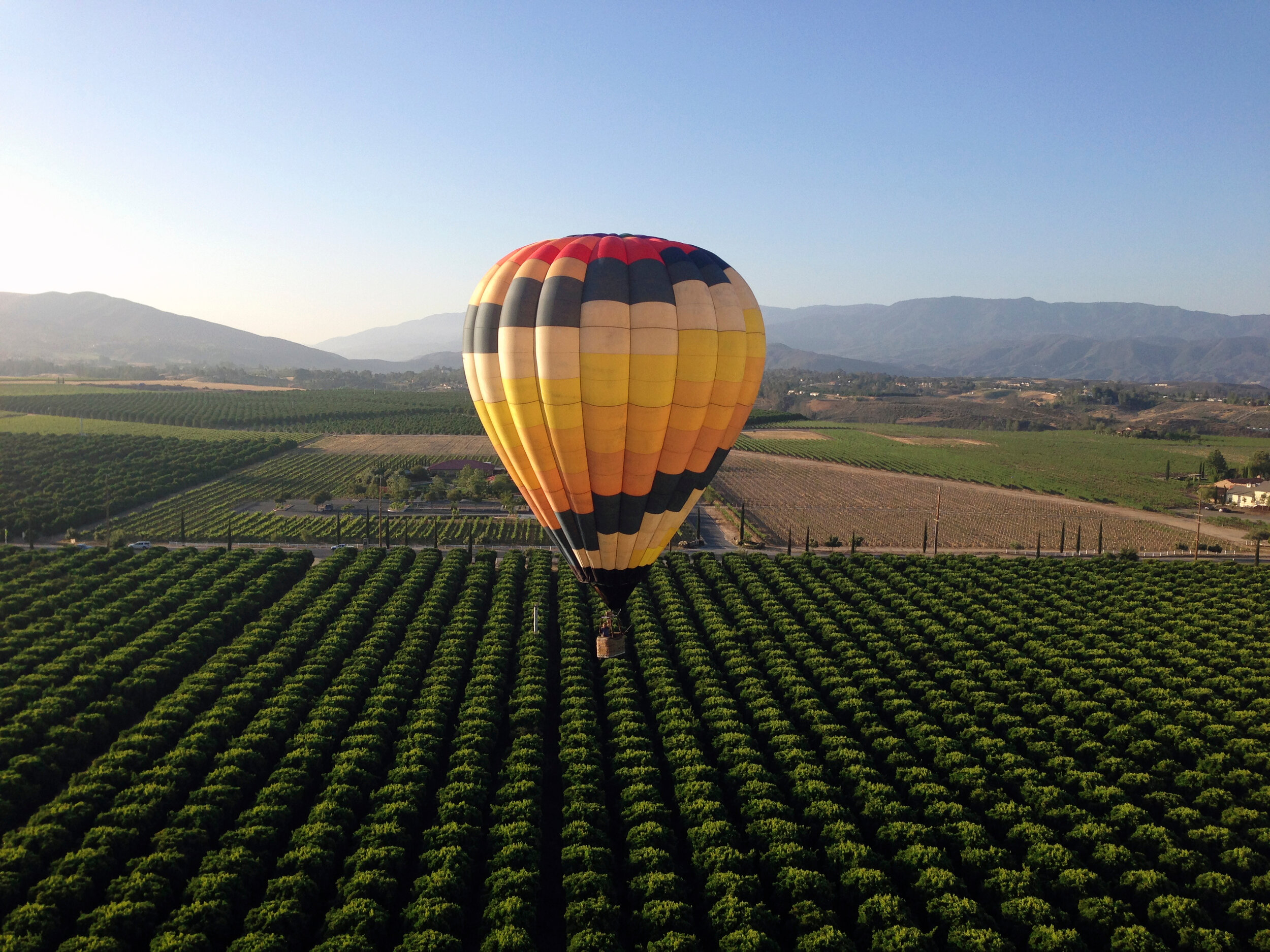 Temecula Valley Wine Helicopter or Hot Air Balloon Tour.jpg