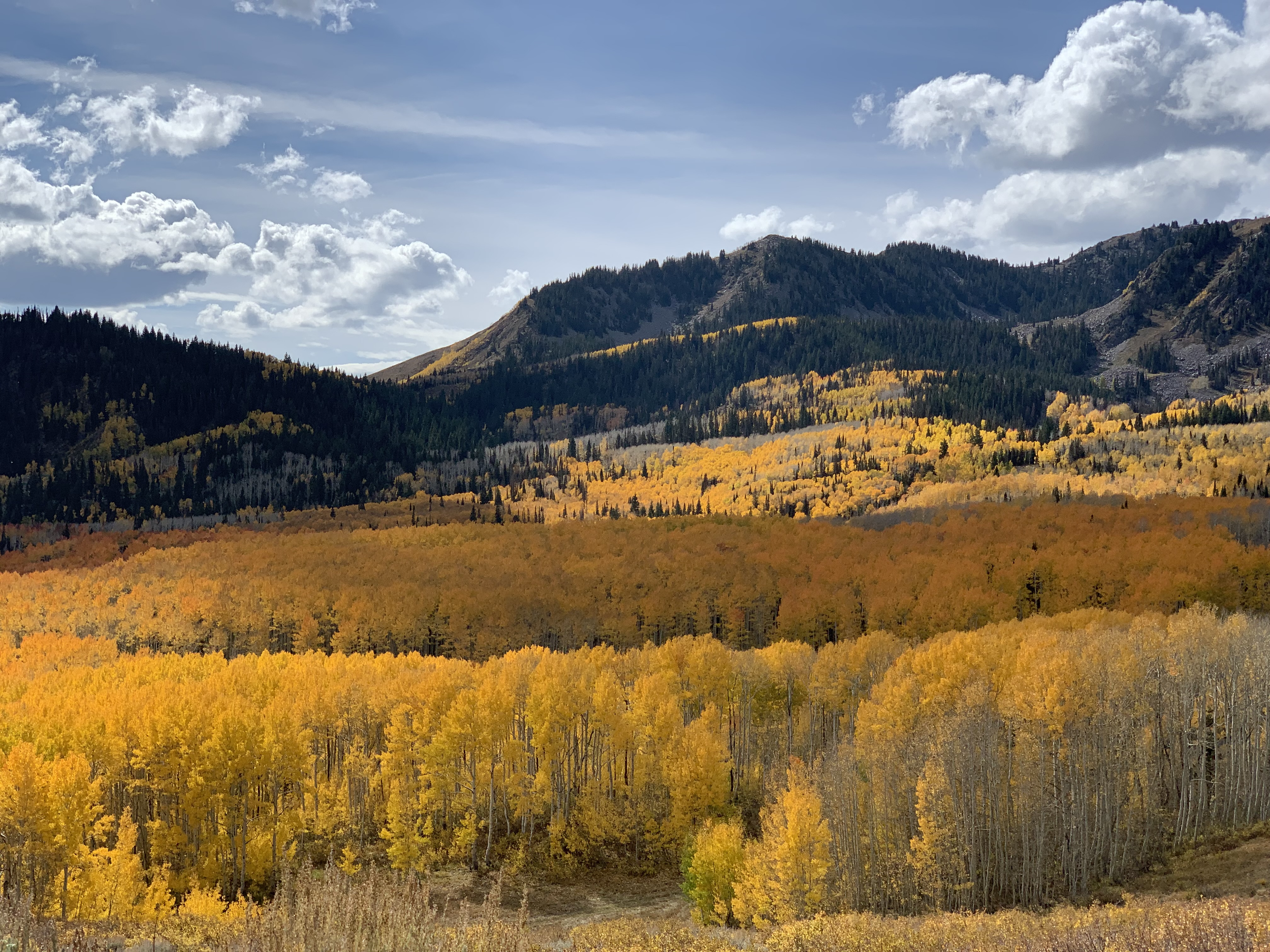 Park City UT Fall[13].png