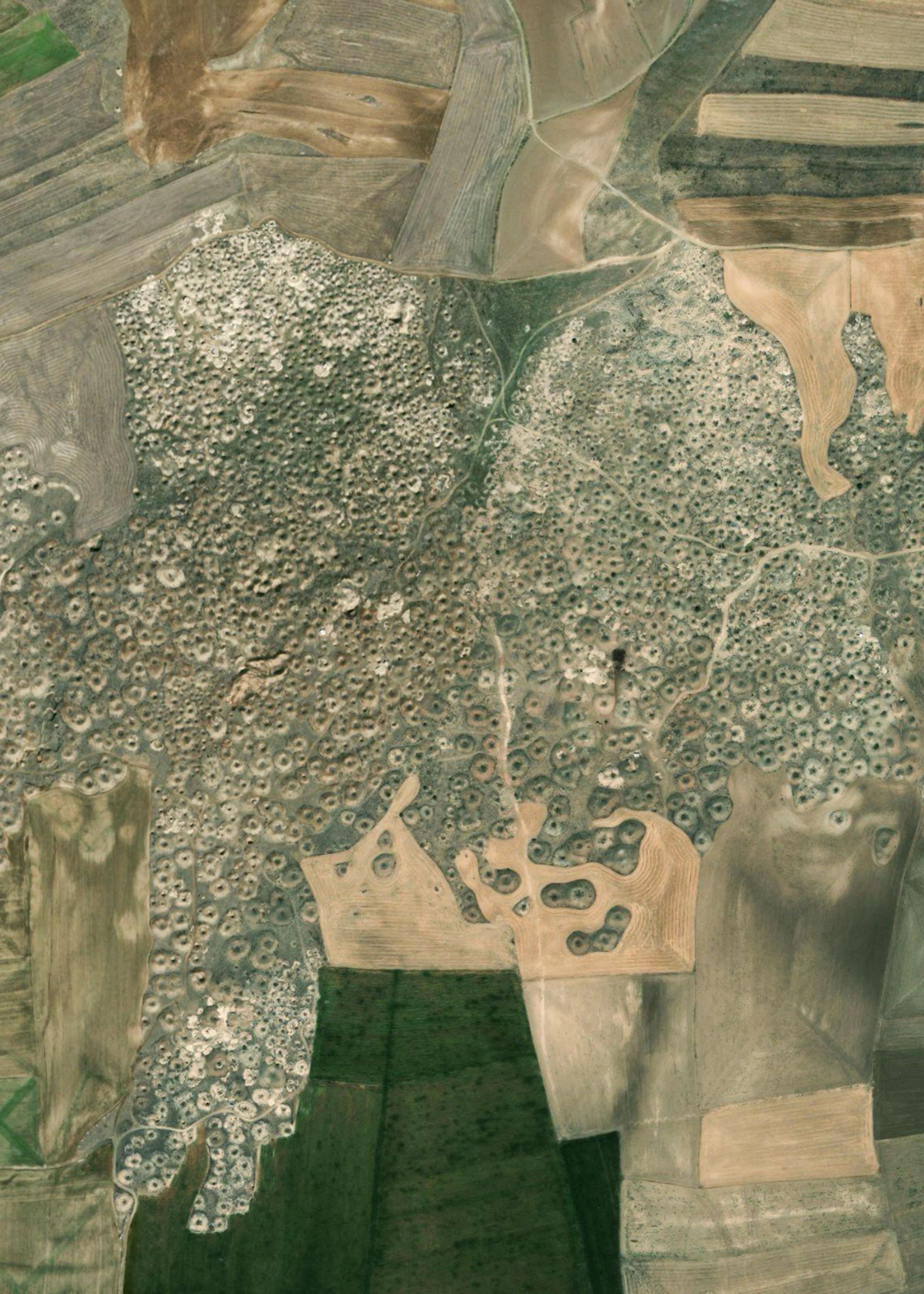 DSCF3104sssss copy 2.jpg